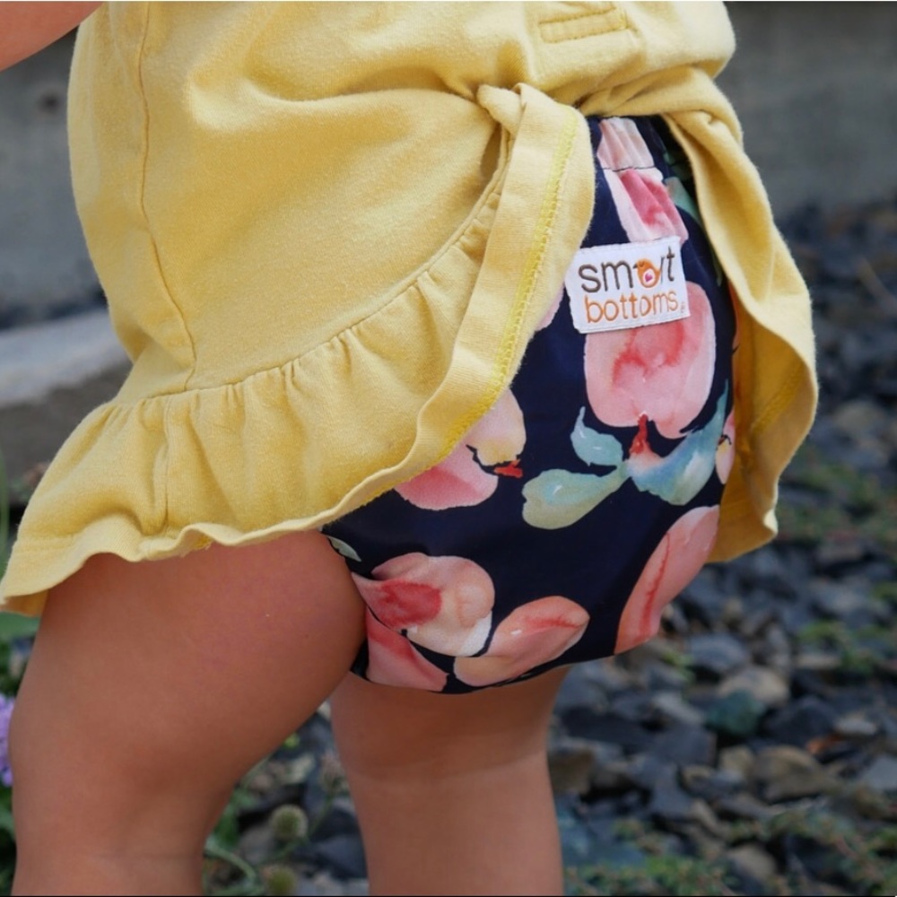 ISO this cloth diaper